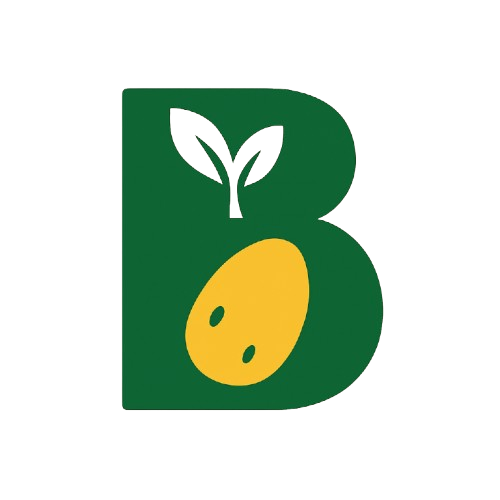 Bintje Patatesi: Özellikleri, Kullanım Alanları ve Tarımsal Değeri