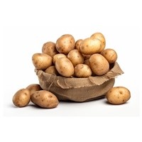 Agria Patates Tohumu - 10 KG